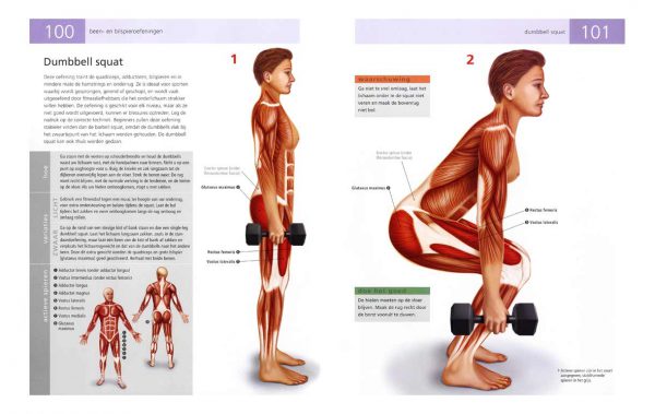 anatomie fitness