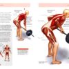 anatomie fitness